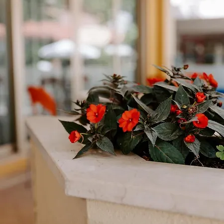 Edward 3* Bellaria – Igea Marina