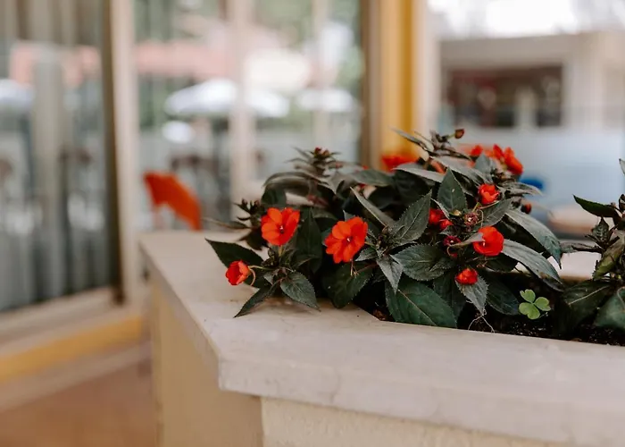 Edward 3* Bellaria-Igea Marina